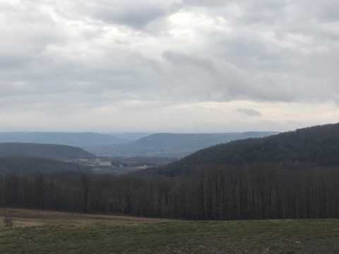 Naples Maple Farm view