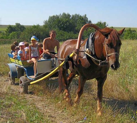 wagon ride